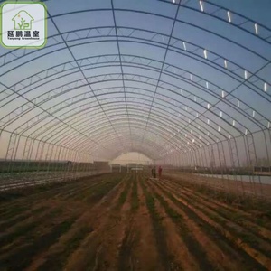 Serre agricole tropicale intelligente de 500 m2, tunnel de serre pour la culture de tomates, structures de serre pour jardin <span class=keywords><strong>potager</strong></span> - Product Image 3