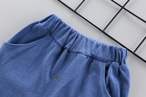 Un garçon qui porte un sweat-shirt avec un motif de dinosaure dans un temps chaud, ensemble de vêtements pour enfants, ensemble complet de vêtements pour bébés - Product Image 6