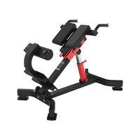 Chaise romaine de banc d'extension arrière d'équipement d'exercice de gymnase commercial