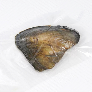 Trang trại bán buôn nuôi cấy ngọc trai nước ngọt hàu mù hộp tự nhiên lỏng Ngọc Trai Trắng Tím đen hồng chân không niêm phong bao bì - Product Image 3