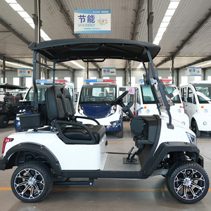 Shininglsvcheap 2 Seate Xe golf điện để bán bạn thân - Product Image 5