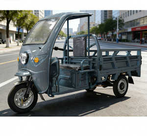 Tricycles fabriqués en Chine, véhicule <span class=keywords><strong>de</strong></span> transport <span class=keywords><strong>de</strong></span> marchandises, transporteur électrique, capacité <span class=keywords><strong>de</strong></span> 2 tonnes, meilleur prix - Product Image 1