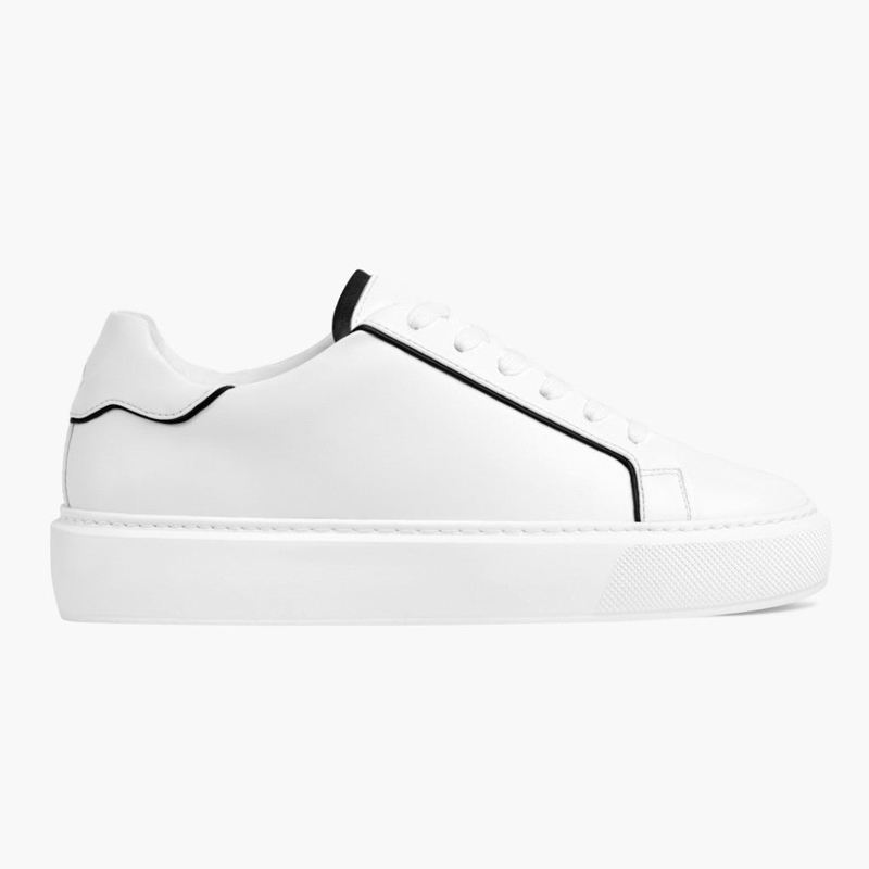 Color scheme Color 1