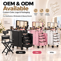 Ensemble de poste de travail cosmétique portable avec chaise de maquillage, valise de rangement à roulettes, miroir éclairé et table pliante