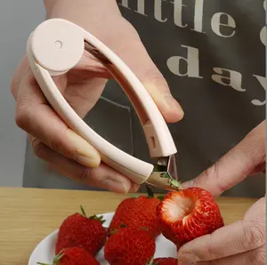 不锈钢去眼器夹蔬菜专用尖头水果挖掘工具菠萝草莓家用工具