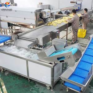 1-3T/H Integrierte Kartoffel-Vorverarbeitungslösung: Kartoffelzuführung, Schlammreinigung, Sortierung, Waschen und Schälmaschine - Product Image 4