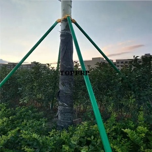 High Quality 5ft 6ft 7ft 8ft Fiberglass Round Tube <b>Tree</b> <b>Stakes</b> - Product Image 2