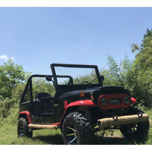 Vehículo Todoterreno UTV de 320 cc, 2 Plazas, Motor de Gasolina, Tracción en las 4 Ruedas, Transmisión Manual - Product Image 5