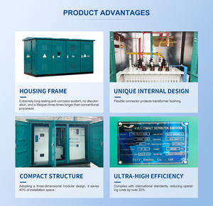 Subestación en Contenedor con Transformador de Aceite TSTY 500KVA 630KVA 800KVA 1000KVA 11KV 12KV 10KV/0.4 KV - Product Image 4