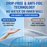 Film PO durable pour serre agricole, haute transparence, résistant aux UV, anti-goutte, isolation thermique pour tunnel