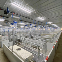 Cage de maternité pour porcs de qualité supérieure, galvanisée à chaud, pour élevage porcin