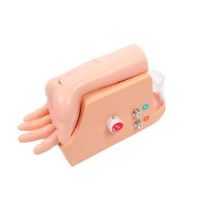 Kyrenmed โมเดลการฝึกอบรมการวิเคราะห์ก๊าซหลอดเลือดแดงบริเวณข้อมือเจาะหลอดเลือด - Product Image 2