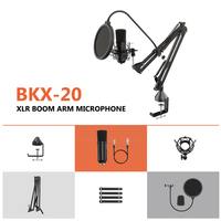 Équipement de studio OEM pour l'enregistrement de musique professionnelle Production musicale Microphone suspendu pour salle KTV filaire en métal noir