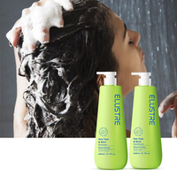 Set de Cuidado Capilar Orgánico de Marca Blanca para Cabello Graso con Menta Refrescante, Calmante para el Cuero Cabelludo, Anticaspa, Antifrizz, Aceite de Árbol de Té y Ácido Salicílico