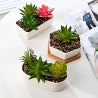 Pot Bunga Sukulen Ramah Lingkungan Porselen Putih JADE 1-3L Lapisan Mengkilap Desain Modern Pot Bunga Kecil untuk Meja Kerja Pabrik