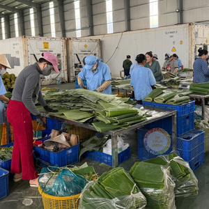 Envoltura de comida ecológica natural congelada de hoja de plátano ideal para asar al vapor y uso de servicio de alimentos de Vietnam - Product Image 1