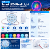 Éclairage extérieur programmable à LED RGB 24V 4,5W, point lumineux à pixels, WS2811 UCS1903, IP67, étanche, pour parc d'attractions, grande roue
