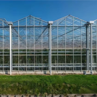 Invernaderos Tropicales de Policarbonato PC y Sistemas de Cultivo Hidropónico Comercial para Tomate, Lechuga y Fresa