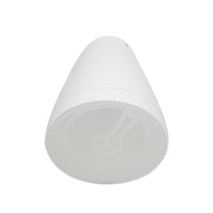 Altoparlante con sospensione a soffitto regolabile e Design a parete per negozi al dettaglio, spazi aziendali e altoparlanti BGM - Product Image 3