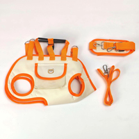 Sac de transport pour animaux de compagnie en polyester écologique, petit format, avec fermeture éclair, forme carrée, pour chiens