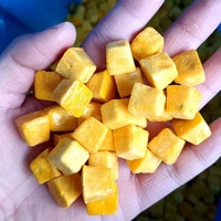 Groothandel Bulk Gevriesdroogde Kumquats Plakjes Fruit Thee Hoge Kwaliteit 100% Puur Natuurlijke Vriesdroging Kumquat Thee Te Koop