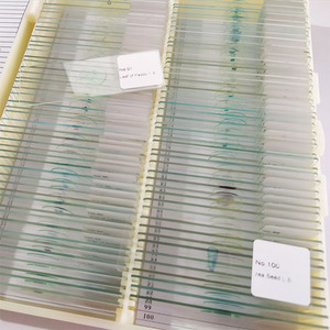 Đồ Dùng Nhà Máy Kính Hiển Vi Chuẩn Bị Lớp Biểu Bì Hành Tây Vật Phẩm Cây Đơn - Product Image 6