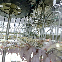 Haute sécurité niveau en acier inoxydable abattage automatique abattoir poulet abattage Machine tuer cône volaille