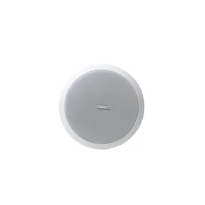 6 Inch 2*20W Ein Bluetooth-jump - Lautsprecher Smart Bluetooth Ceiling Speaker With Remote Controller