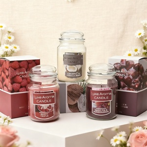 Bougie parfumée à la cire de soja, cadeau de fête, parfum d'ambiance pour la maison, vente en gros de marque privée - Product Image 5