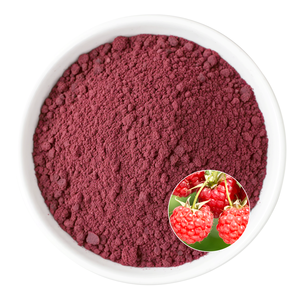Bubuk ekstrak Raspberry berkualitas bubuk buah Premium cocok untuk perawatan kesehatan aplikasi dan pengembangan bahan mentah industri - Product Image 3