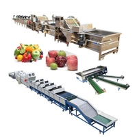 1T 2T 3T Automatische Gewaxte Fruitverwerkingslijn Vers Fruit Mango Citroen Wassen Reiniging Harsen Sorteermachine