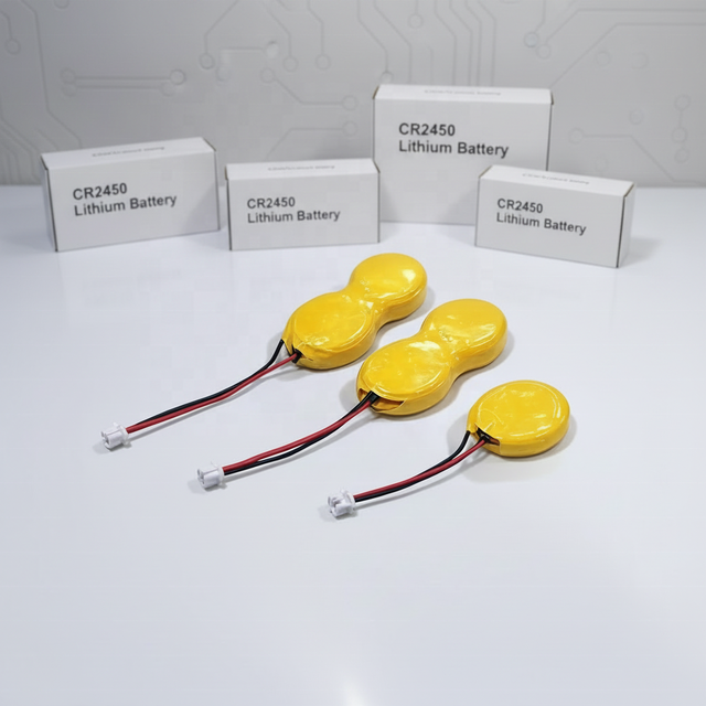 Customize Our Own Brand CR2450 Lithium Battery 1800mAh Cr2450-2p Cr2450-3p for Han Show Electronic Price Tags