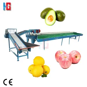 Automatic citrus sorter tomato weight grading machine avocado sorting machine