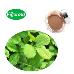 Muestra de servicio personalizado <span class=keywords><strong>Agrimonia</strong></span> Pilosa proporcionada para la salud Extracto de <span class=keywords><strong>Agrimonia</strong></span> Pilosa - Product Image 2