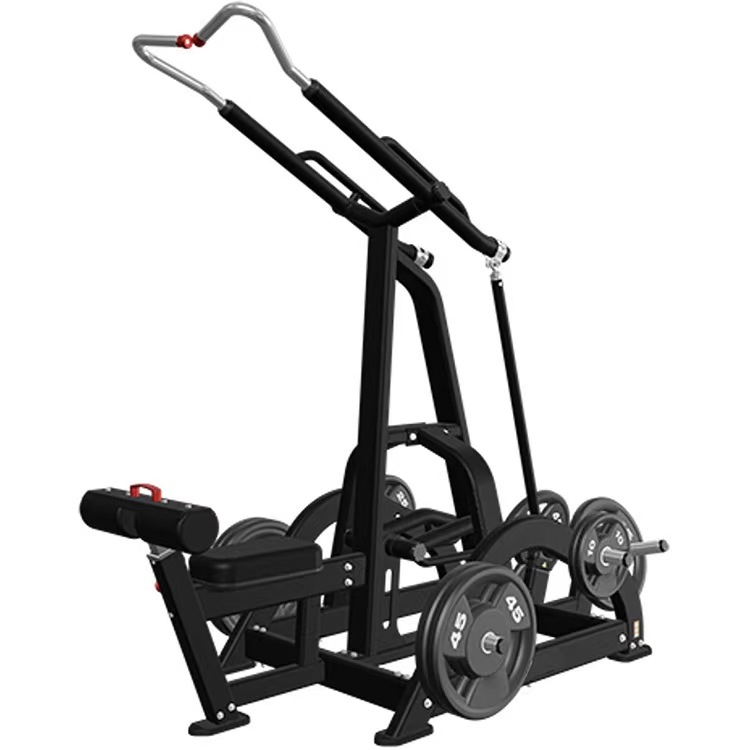 Gao Lai Trainer