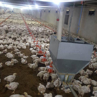 RS-133 automatique volaille poulet trémie fond alimentation Silo nouvelle condition bétail équipement alimentation système facile