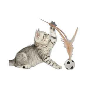 Fabrikgroßhandel Haustier elastische Federn Fußball Katzen Wurf katze Spielzeug-Ball