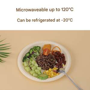 Vaisselle et articles de table biodégradables personnalisés en amidon de maïs naturel blanc, assiettes de fête compostables, vaisselle jetable, ensemble d'assiettes - Product Image 6