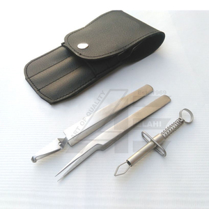 Nouvel ensemble de pinces à tiques 3 pièces en acier inoxydable pour chats et chiens, vente en gros, kit de premiers secours personnalisé avec étui - Product Image 1