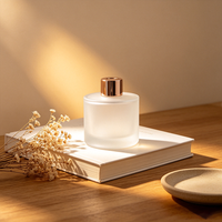 Bouteille diffuseur vide en verre dépoli 50 ml, vente en gros, flacon de luxe pour diffuseur à bâtonnets, pour la maison, en stock, décoration, logo personnalisé OEM