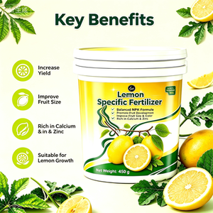 <span class=keywords><strong>Engrais</strong></span> Spécifique pour Citrons 450g Augmentation du Rendement de 80% <span class=keywords><strong>NPK</strong></span> Équilibré Améliore la Brillance des Fruits Acidité Prévient la Chute des Fruits Serres Citricoles - Product Image 4