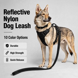 Laisse <span class=keywords><strong>pour</strong></span> animaux de compagnie de taille moyenne à grande, harnais <span class=keywords><strong>anti</strong></span>-traction, laisse de promenade <span class=keywords><strong>pour</strong></span> chien, ensemble de harnais réfléchissant en tissu, vente en gros - Product Image 1