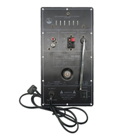 Carte d'amplificateur de puissance Audio professionnel haute puissance 100w, Module d'amplificateur de puissance de haut-parleur