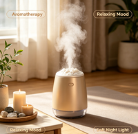 Humidificateur USB Mini pour Voiture, Vente Chaude, Approvisionnement Direct Usine, Grande Brume, Veilleuse Colorée, Aromathérapie, Certifié ROHS, 280ML