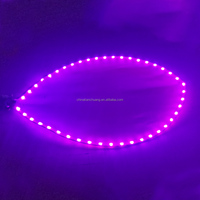 Accessoire de danse LED en forme de pétale lumineux pour spectacle sur scène, festival, événement, fête, concert, boîte de nuit, spectacle de mariage