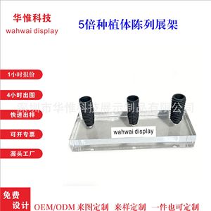 Dental Implant Model Display <b>Stand</b> Acrylic Transparent 0.8 Mm Thickness Modern Style For Teaching Demonstration - Product Image 2