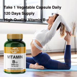 Capsules de vitamine B12 personnalisées à succès pour adultes – Compléments alimentaires à base de plantes (OEM/ODM) - Product Image 4