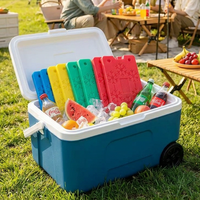 Blocs de glace réutilisables robustes pour glacière de camping, pêche, plage, pique-nique, refroidissement extérieur, briques de glace longue durée 200g