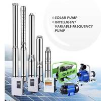 Pompe solaire de puits profond 3hp CC Kit de pompe à eau submersible de surface solaire Système de pompe solaire pour l'irrigation agricole
