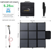 Panneaux solaires portables pliables de haute qualité Lvyuan pour la vente en gros
